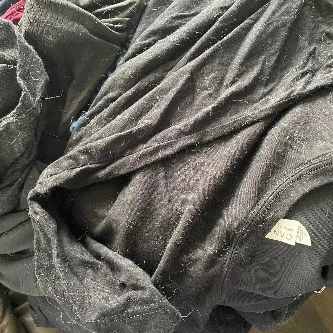 Cobija gris llena de pelo de perro, antes