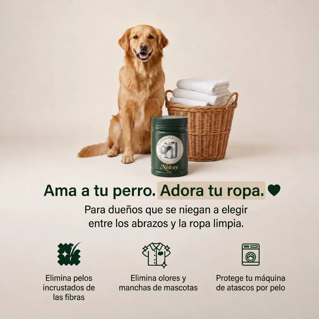 Ama a tu perro, adora tu ropa: elimina pelos incrustados, olores y protege tu lavadora