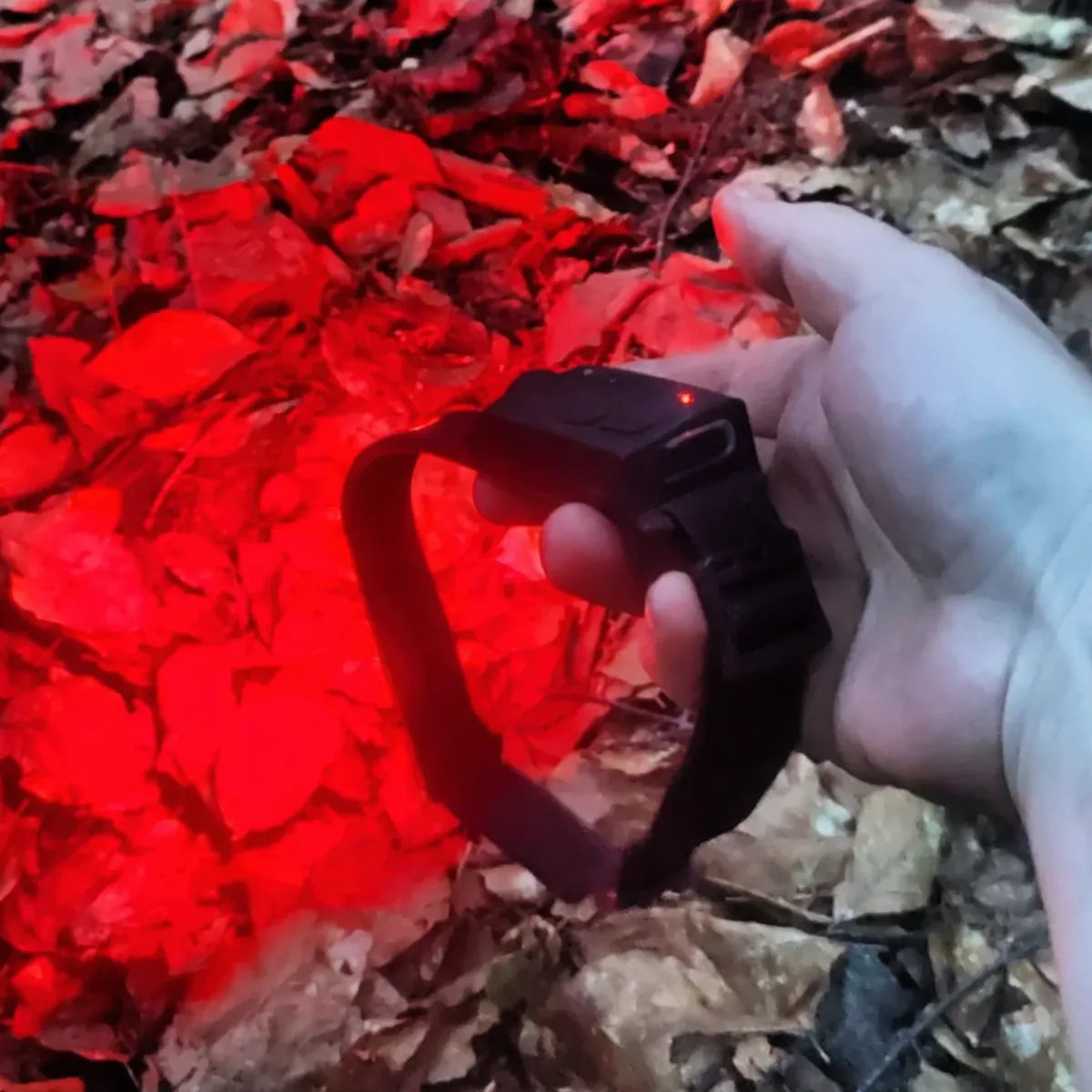 Luz roja: ves sin que te vean